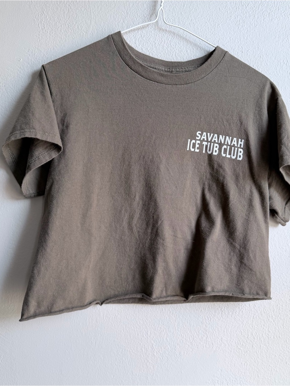 Savannah Ice Tub Club cropped tee